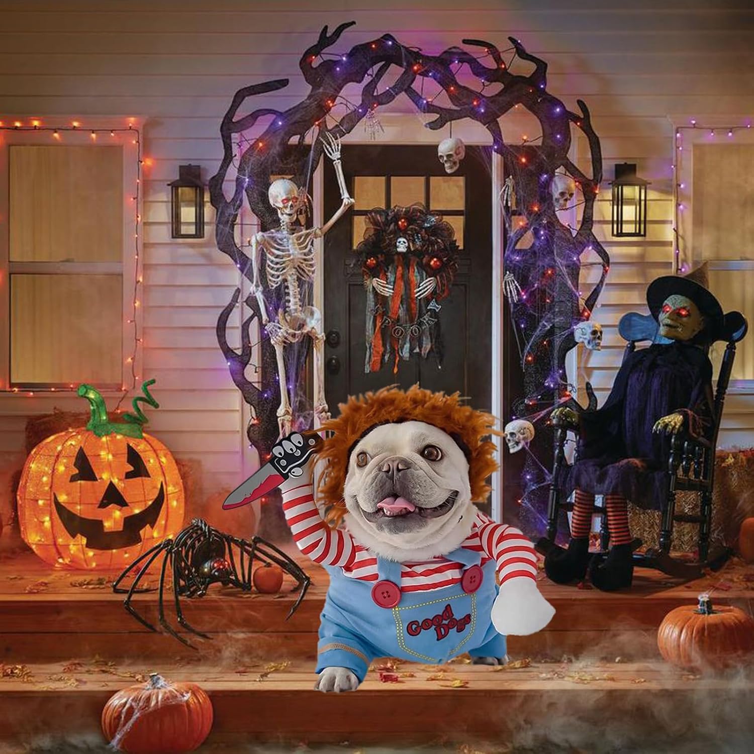 A dog dressed in a funny Halloween pet costume, featuring a knife and playful outfit, ideal for funny pet costumes for Halloween