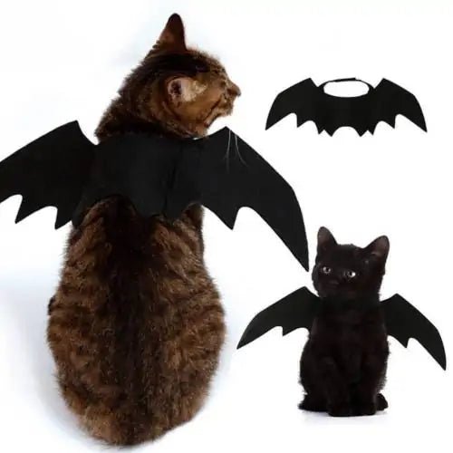 Halloween pet costume for cats featuring black bat wings, ideal for trendy Halloween celebrations with your feline friend