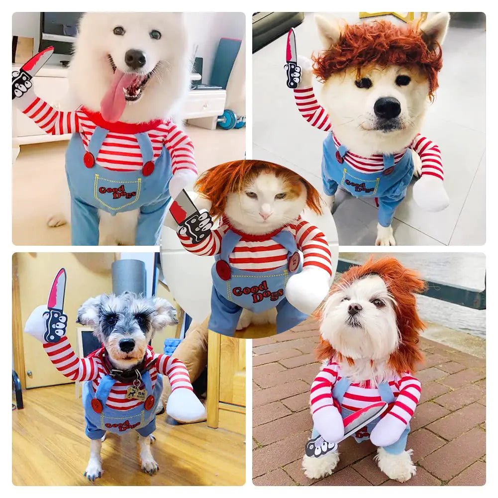 Funny Halloween pet dog costume featuring dogs and a cat dressed in colorful outfits with fake knives, ideal for funny pet costumes for Halloween.