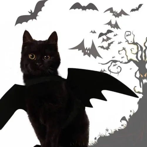 A black cat wearing a spooky Halloween pet costume for cats, featuring stylish bat wings against a Halloween-themed backdrop