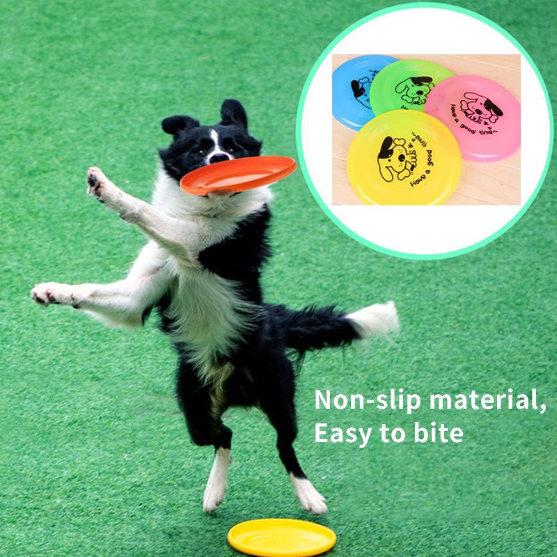 Pet Supplies Dog Outdoor Interactive Fun Play Toys - EASY BUYZ