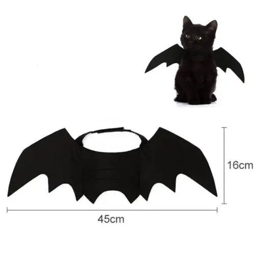 Trendy Halloween pet costume for cats featuring a bat design with large black wings, perfect for festive celebrations.